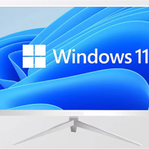 24 inch all in one pc